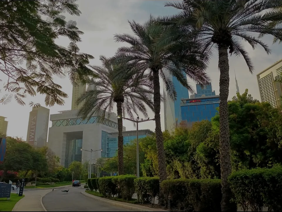Office buildings and palm trees
